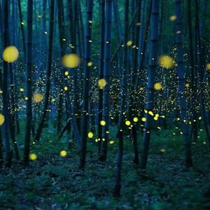 亚洲第一区视频
