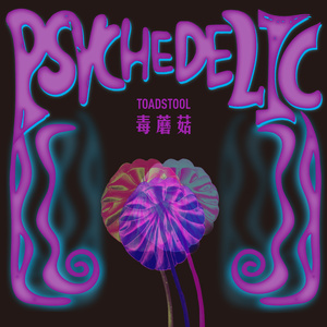 亚洲第一区视频
