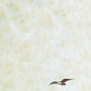 亚洲第一区视频
